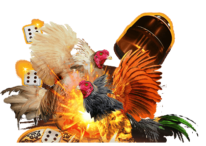 Sabong: The Philippines’ Most Popular Traditional Sport